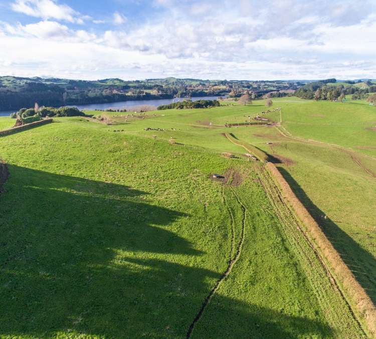 899 Maungatautari Road Cambridge_6