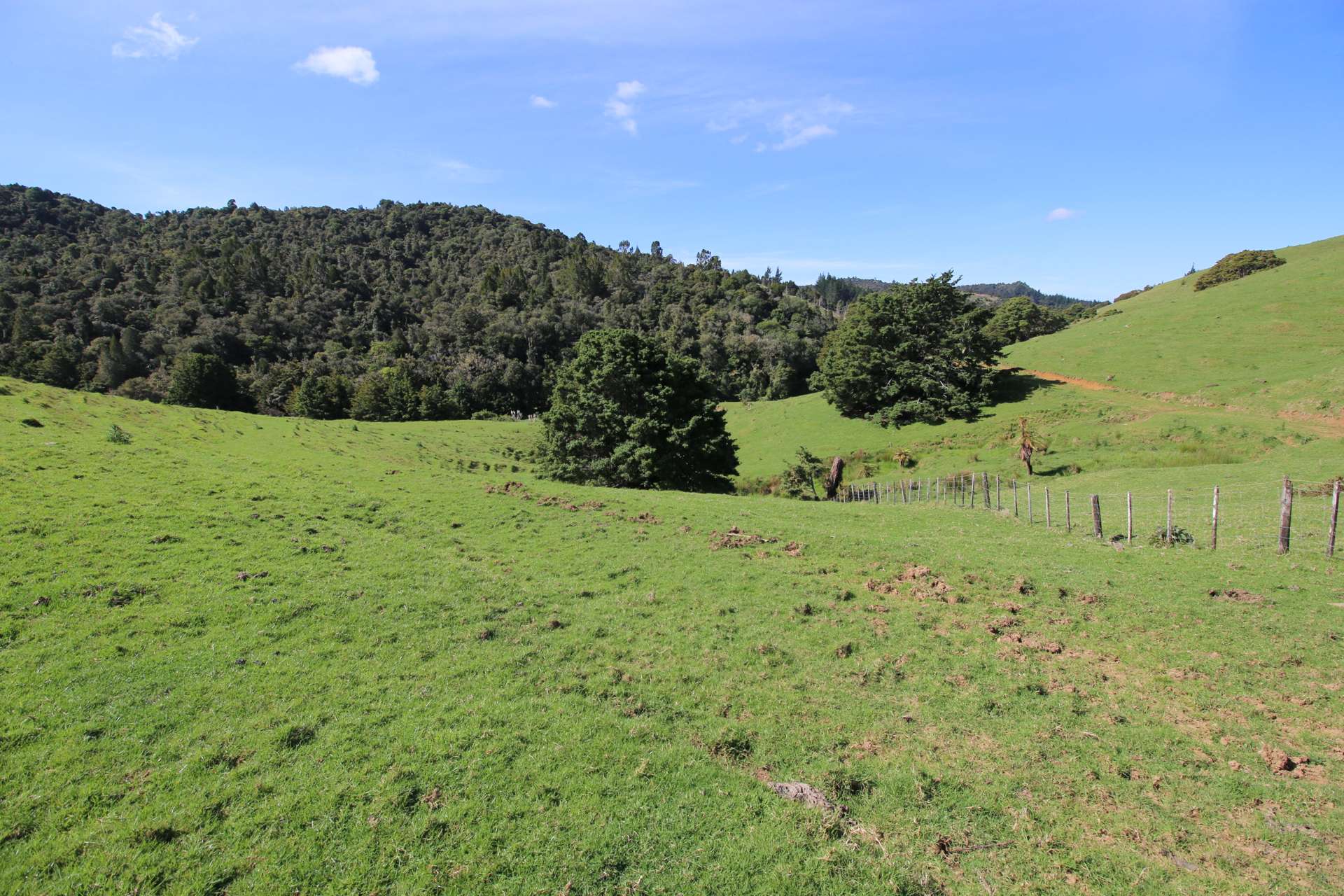 Otangaroa Road Kaeo_0