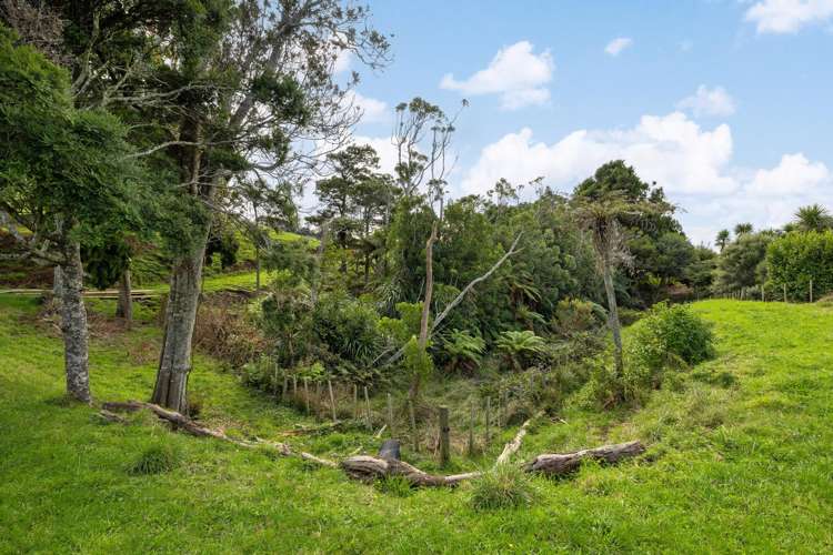 62 Cornes Road Raglan_18