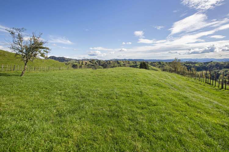 3099 State Highway 4 Te Kuiti_4