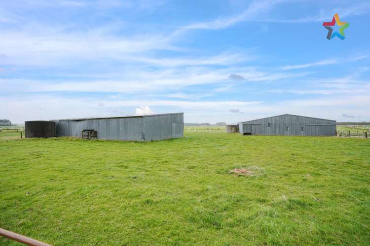 228 Robertson Road Winton Surrounds_15