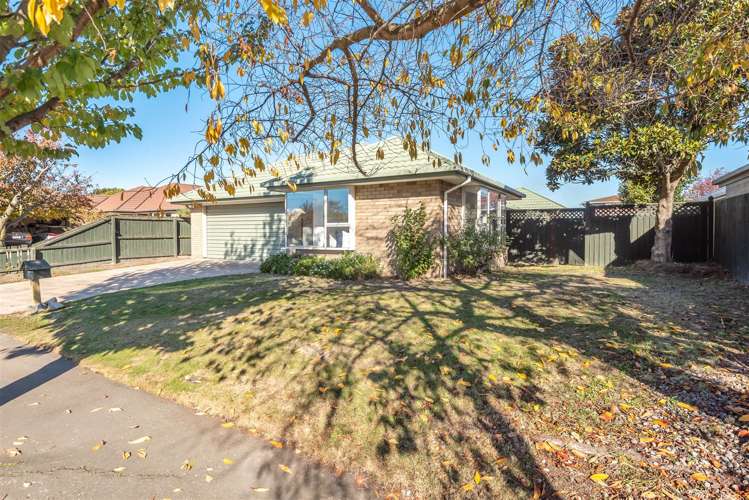 45 Showgate Avenue Sockburn_22