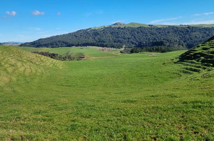 613 Waterworks Road Morrinsville_6