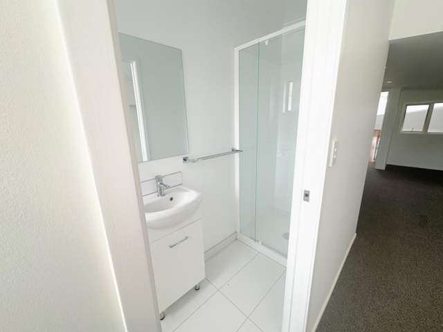 315 Dominion Road Mount Eden_1