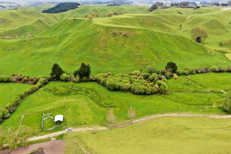 166 Airstrip Road Pikowai_27