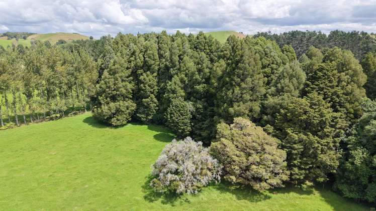 304 Hariru Road Ohaeawai_19