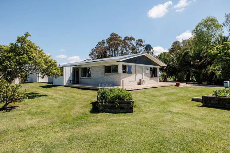 408a Awakeri Road Edgecumbe_12
