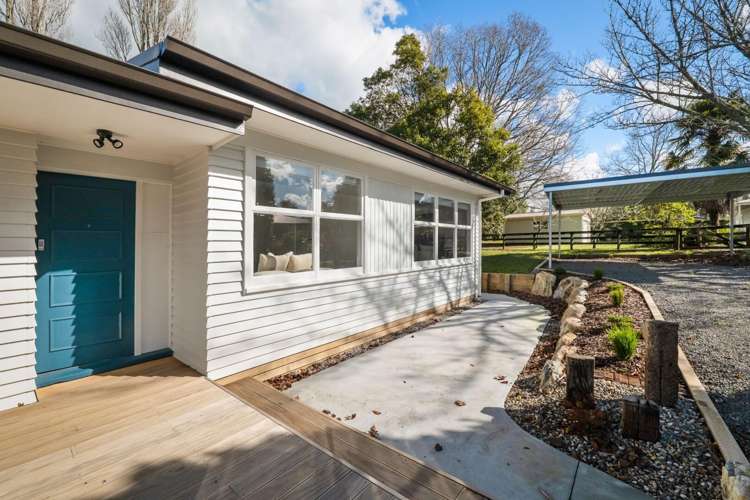 5a George Street Waihi_17