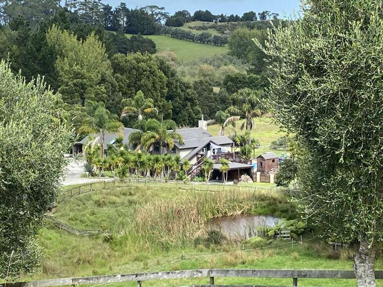 343 Whitehills Road Waitoki_23