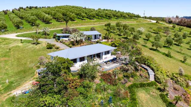 125b Frantoio Ridge Road Mangonui_3