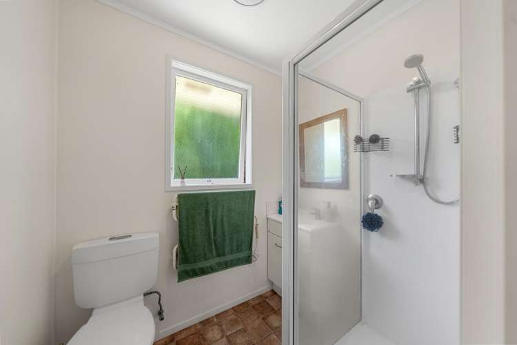 66 Shoreham Street Avondale_12