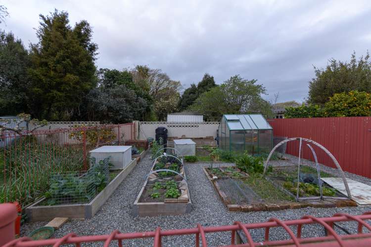 11 Surrey Crescent Hokowhitu_15