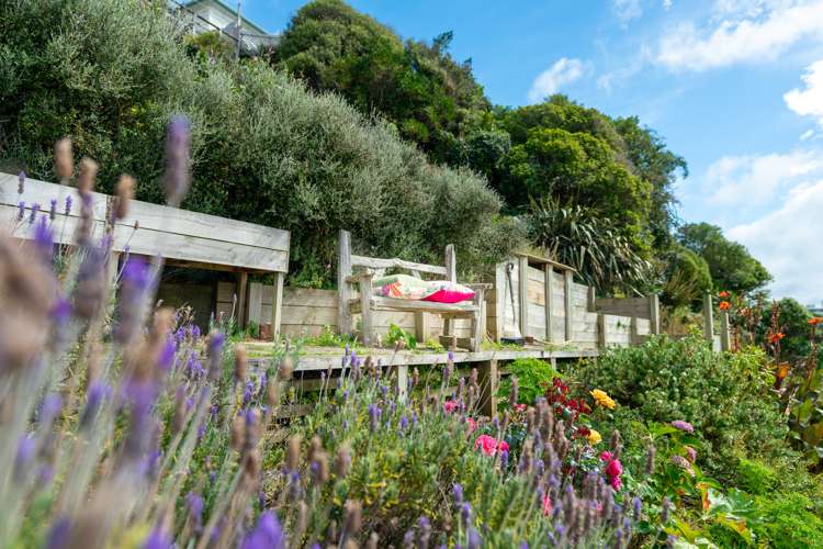 68b Maida Vale Road Roseneath_16