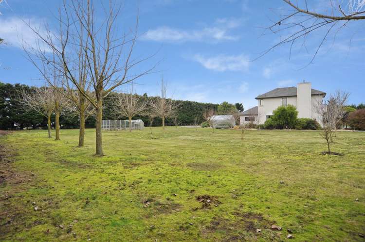 38 Peacock Place Swannanoa_28