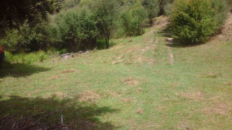 238 Punga Punga Road Pukekawa_7