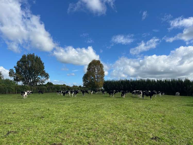 Redoubt Road Cambridge_7