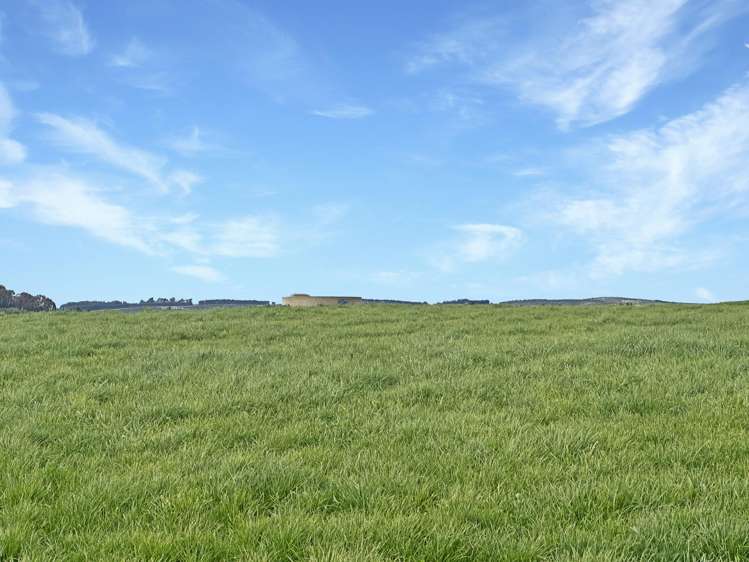 Hillend Road and Falla Burn Road Hillend_20