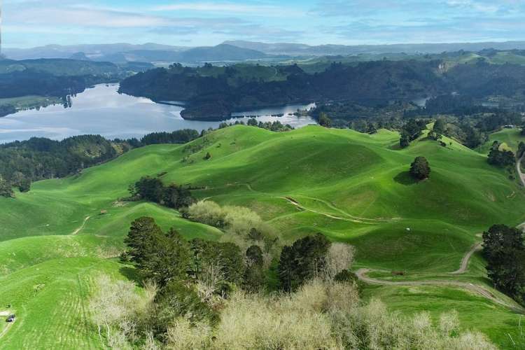 494B Dods Road Waikite Valley_25