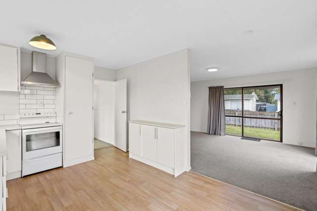 11 Balmoral Street Levin_3