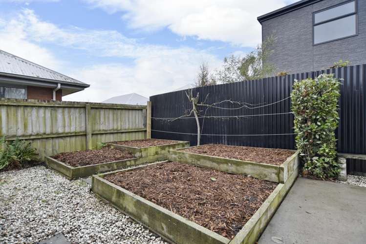 8/31 Buffon Street Waltham_11