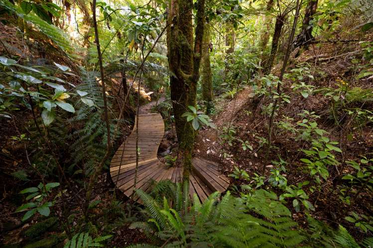 22 Herring Stream Road_2