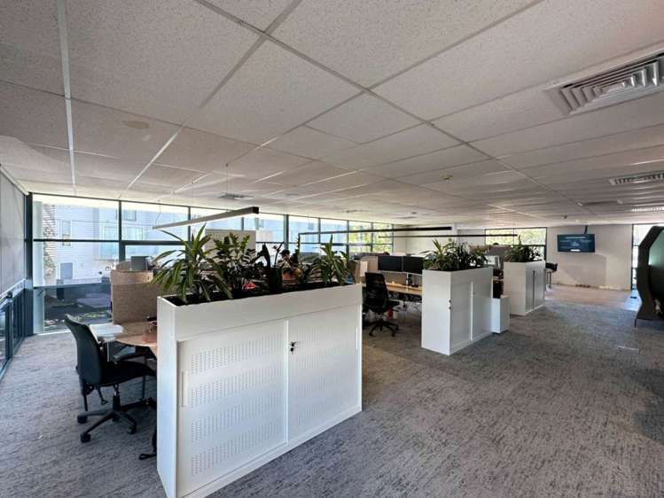 Unit 1/19 Edwin Street Mt Eden_13