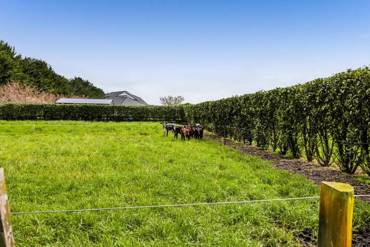 12 Beach Road Urenui_18