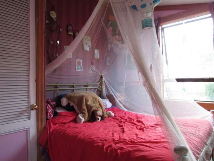 60 Cameron Road Morrinsville_13