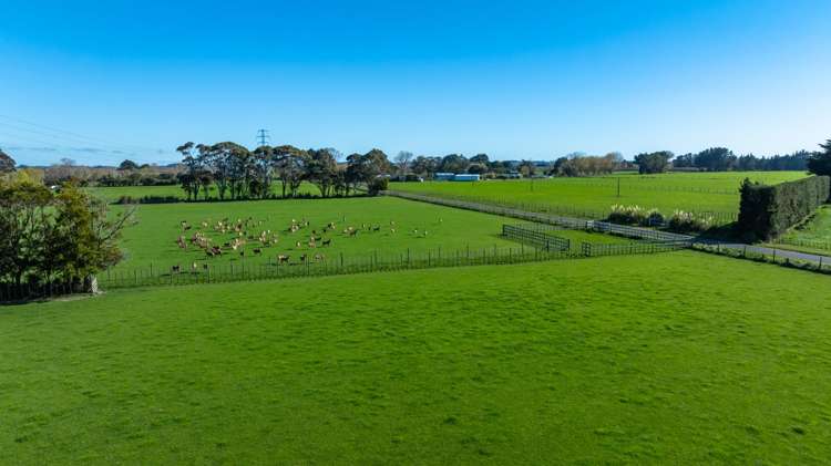 318 Aorangi Road Aorangi_7