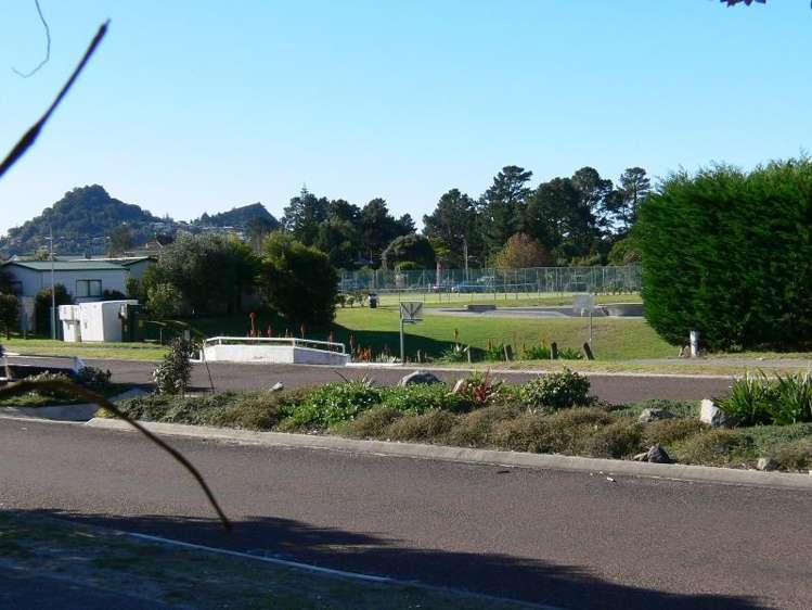 2 Ajax Head Pauanui_1