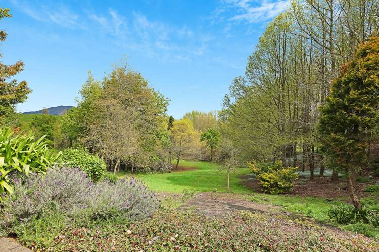 149 Frontier Road Te Awamutu_20