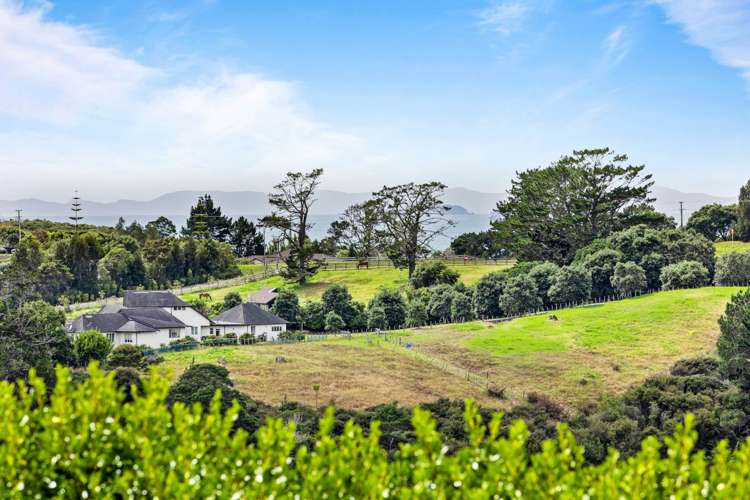 136 Okura River Road Okura_40