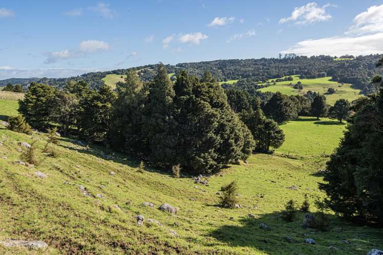 43 Waiariki Road Whakapara_21
