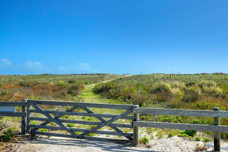 Lot 1/449 Matai Bay Road Karikari Peninsula_22