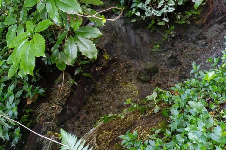 22 Plunket Street Solway_18