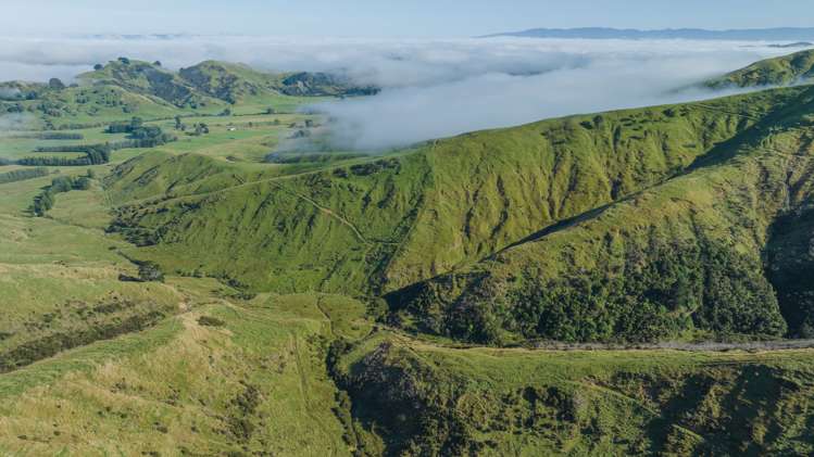 1311 Pahiatua Pongaroa Road Pahiatua_11