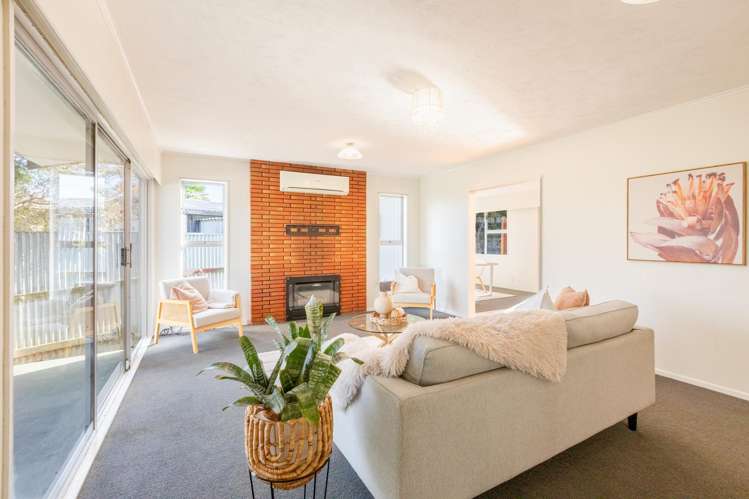 26 Skerrett Crescent Tamatea_2