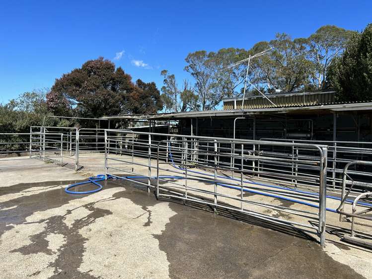 120 Pamotumotu Road Maihiihi_12