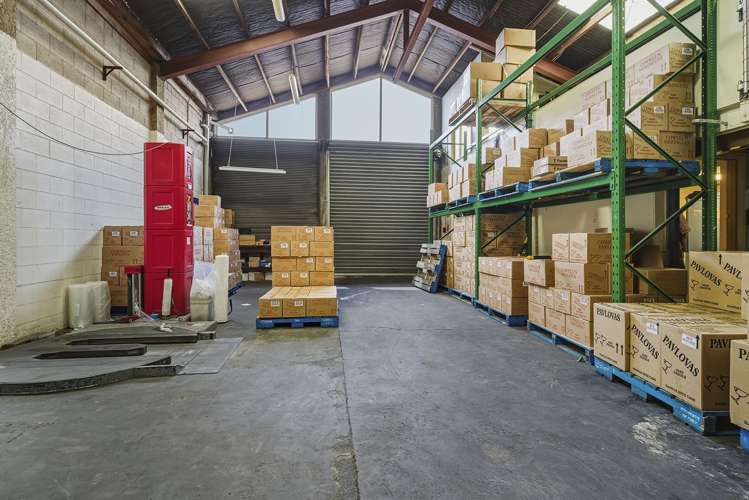 146 Frederick Street North Dunedin_8