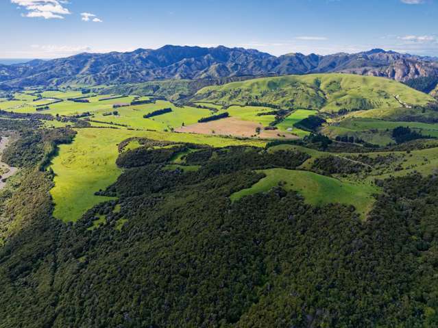 2240 Inland Road Kaikoura_2