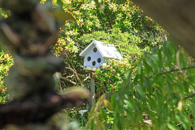 12 Rata Avenue Huntly_17