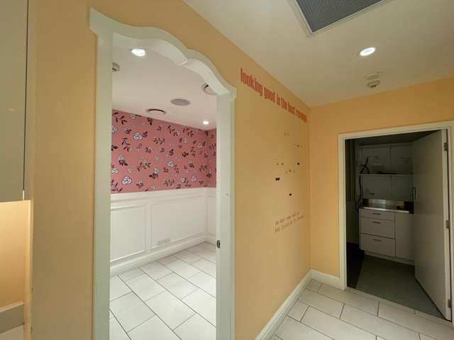 GF/100 Ponsonby Road Grey Lynn_3