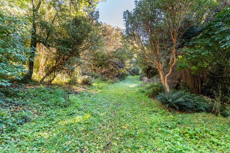 315 Leith Valley Road Leith Valley_15