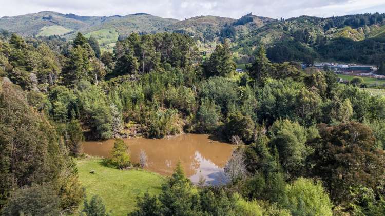 7 Little Sydney Road Brooklyn_26