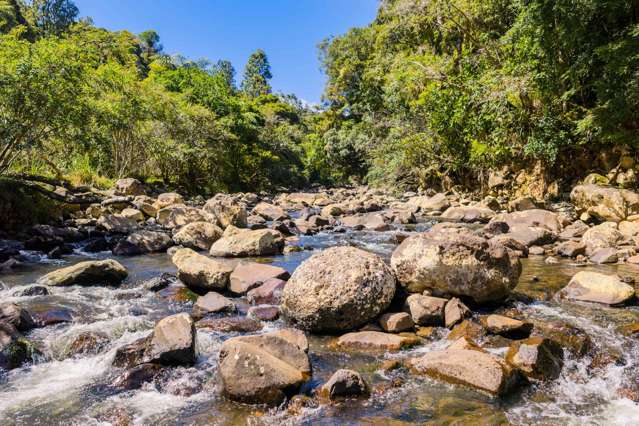 1052 Wekaweka Road Waimamaku_2