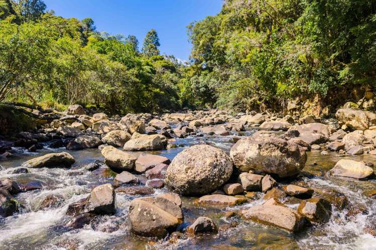 1052 Wekaweka Road Waimamaku_2