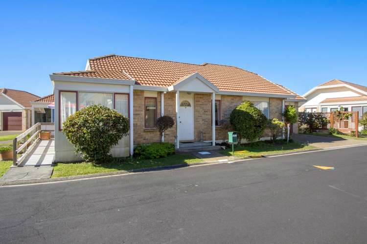 31/32 Park Road Katikati_9