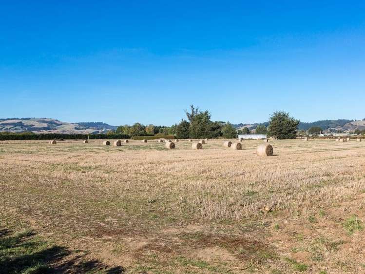 257 Gordon Road Mosgiel_12