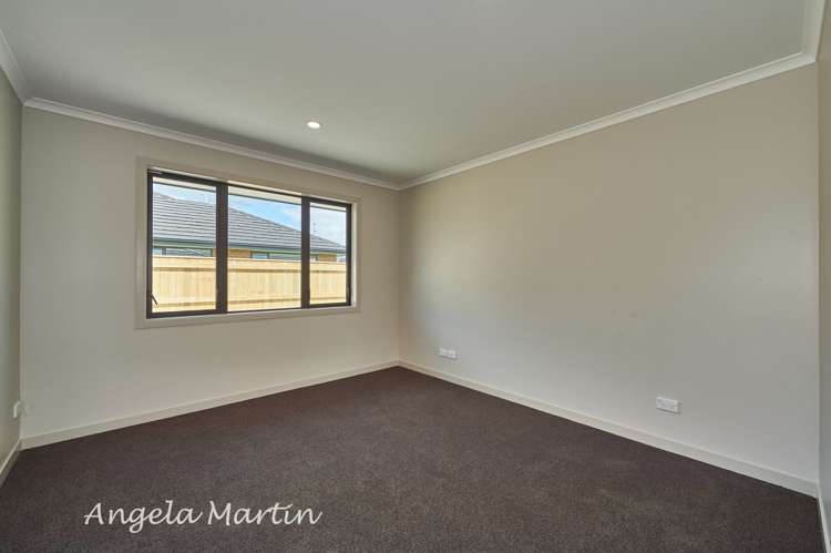 80 Pascal Street Palmerston North Central_9