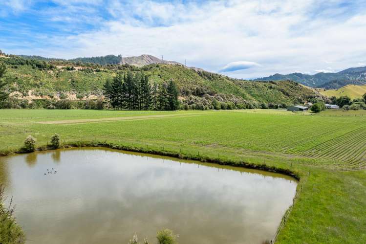 140 Leslies Road Okaramio_30